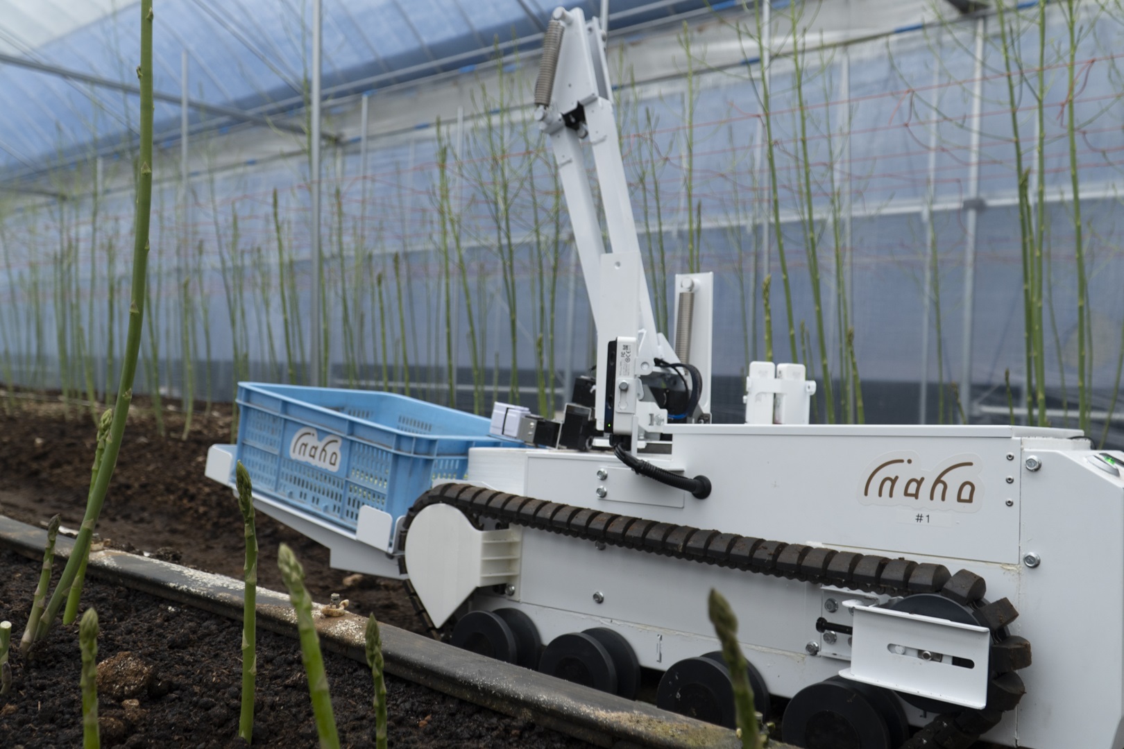 ここまで進化した自動野菜収穫ロボット