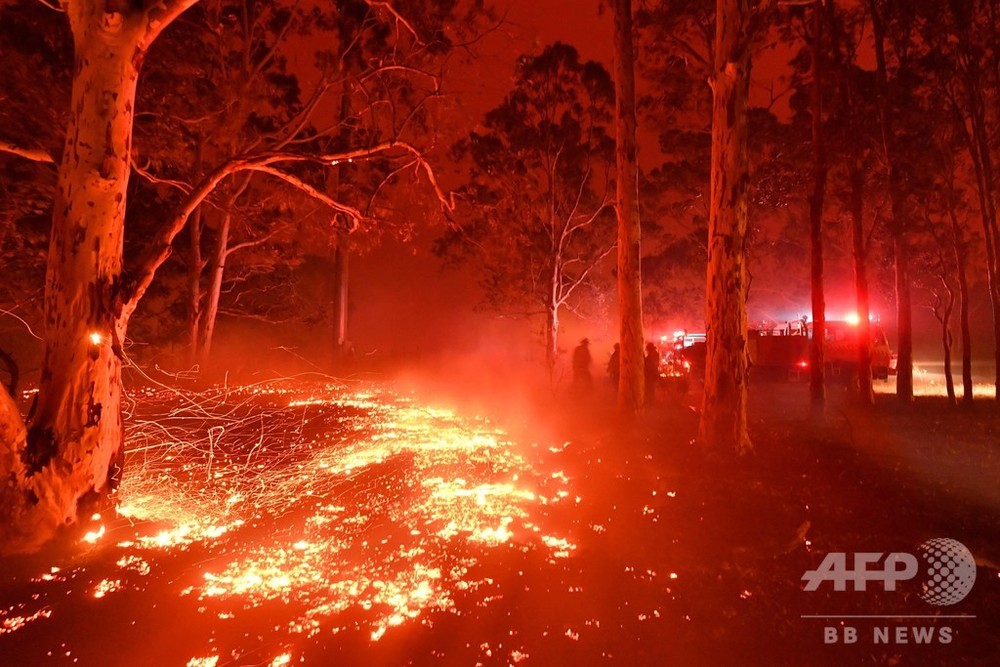 豪州の森林火災、見直される先住民の「野焼き」