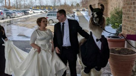 結婚式にラマを連れてきた 有言実行 の弟と 後悔先に立たず の姉 5年前の約束を果たした弟 口を滑らせた姉