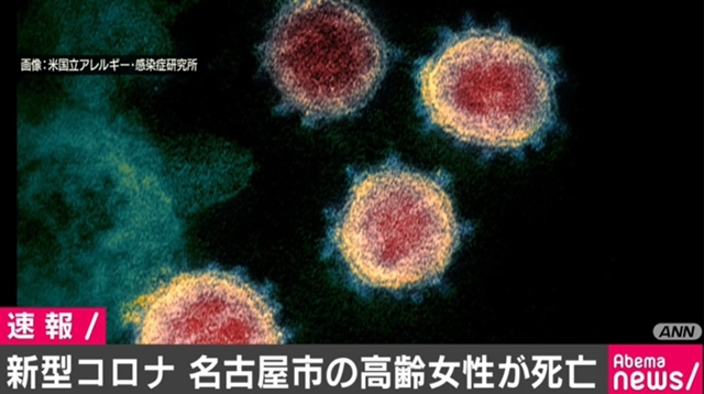 名古屋市の高齢女性が死亡 新型コロナウイルス - AbemaTIMES