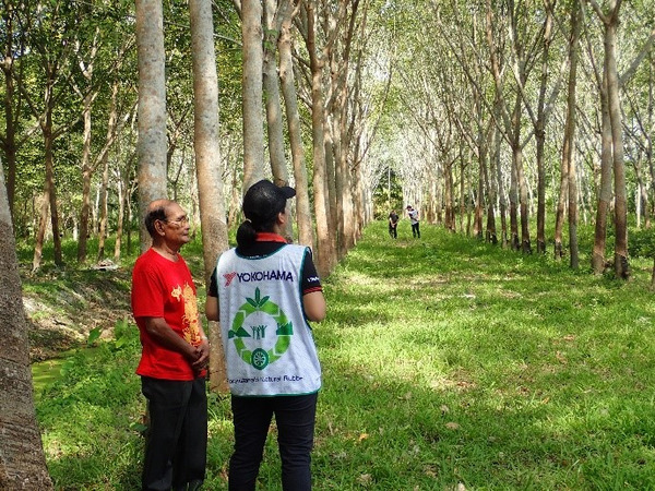 天然ゴムを持続可能な資源に、横浜ゴムがタイで農園の調査を実施