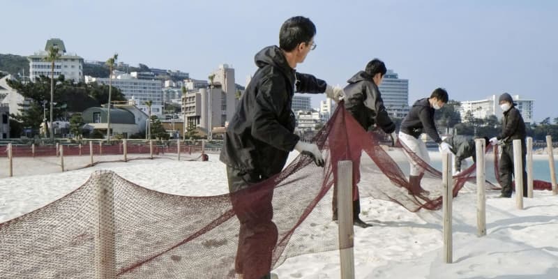 和歌山・白良浜の防砂ネット撤去　春の訪れ告げる恒例の作業