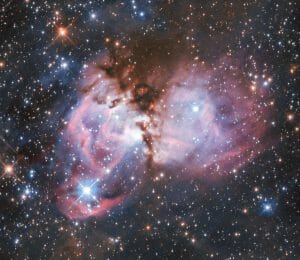 大質量星誕生の実験室。大マゼラン雲に輝く「星のゆりかご」