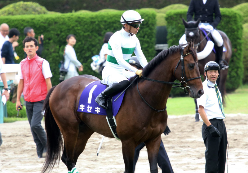 JRA阪神大賞典（G2）三連単2点で楽勝!? キセキ1着固定も「見せ場は作れる」万馬券のカギを握る「アノ激走馬」に注目！