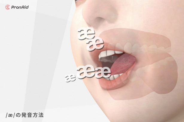 ネイティブの「口の動き」を3Dで透視映像化。発音矯正法を取り入れたeラーニングシステム