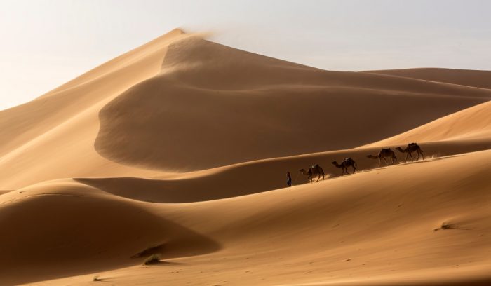 サハラ砂漠で太陽光発電。実現すれば欧州で使用される電力7,000倍分をカバー、しかし問題も