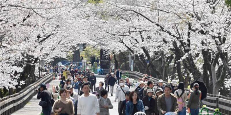 「飲食伴う花見、自粛を」　新型コロナで大西熊本市長　熊本城行幸坂の開放も中止