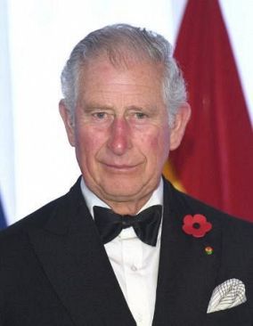 チャールズ英皇太子がコロナ感染　王室「症状は軽い」