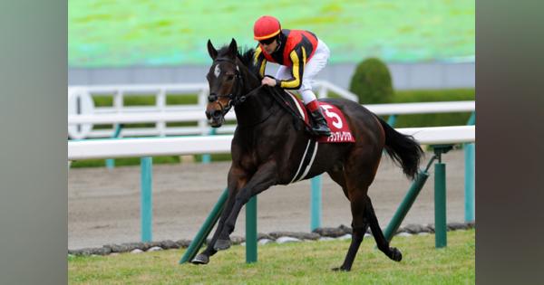 JRA高松宮記念、今年も特大万馬券か…G1馬8頭の大混戦、“絶対に買うべき馬”とは？