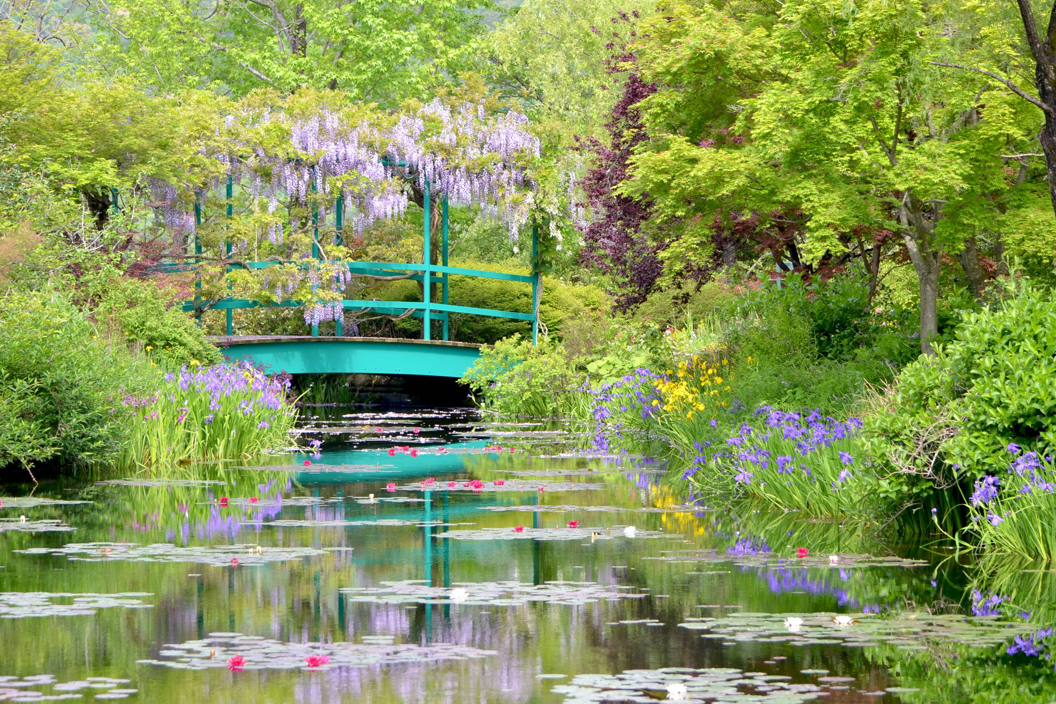 「モネの庭」世界で唯一その名を許された高知の庭園　知られざる日本のすごいアート（第6回）