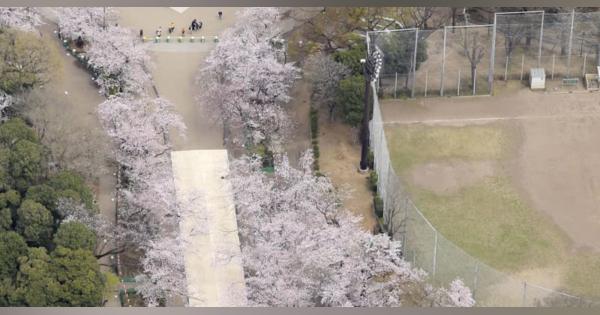 東京・上野は桜満開も人影少なく　浅草「客ゼロに近い」