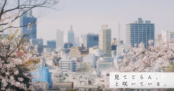「来年こそ、桜の下で会いましょう」横浜トヨペット、お花見ドライブ動画を公開