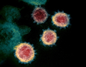 新型コロナ、発症1─3日前からウイルス感染か＝ＣＤＣ調査 - ロイター