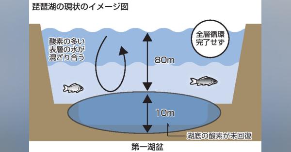 「琵琶湖の深呼吸」全層循環、今年も確認されず　暖冬影響か