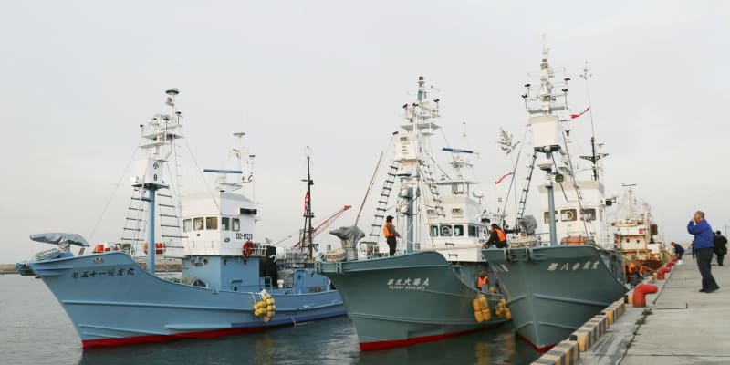 三陸沿岸で32年ぶりに商業捕鯨　宮城・石巻漁港から3隻出港