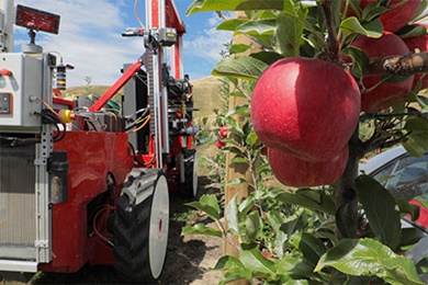 リンゴ自動収穫機のスタートアップに2億7500万円を追加出資
