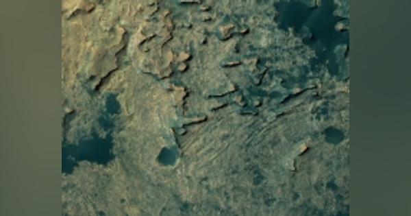 火星で「エイリアントカゲ」発見？