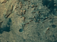 火星で「エイリアントカゲ」発見？