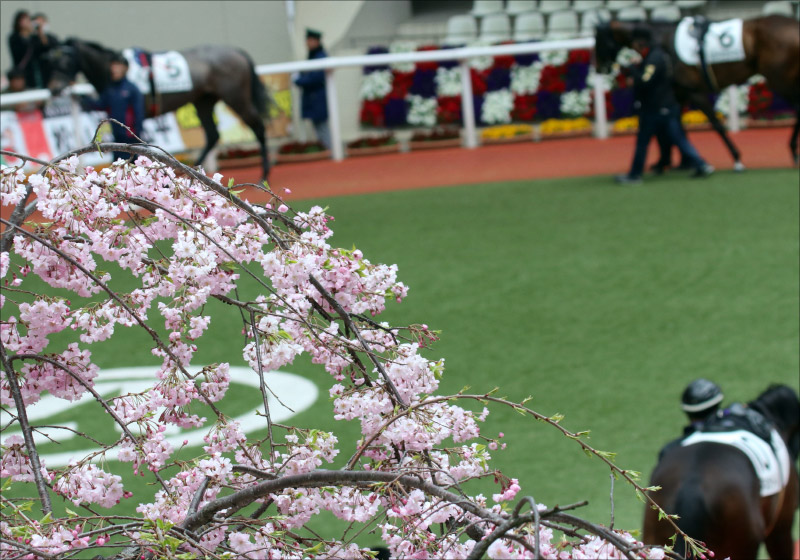 JRA桜花賞（G1）「強い！」デアリングタクトが新女王！ 松山弘平「『この馬なら届く』と信じてた」武豊レシステンシアは2着
