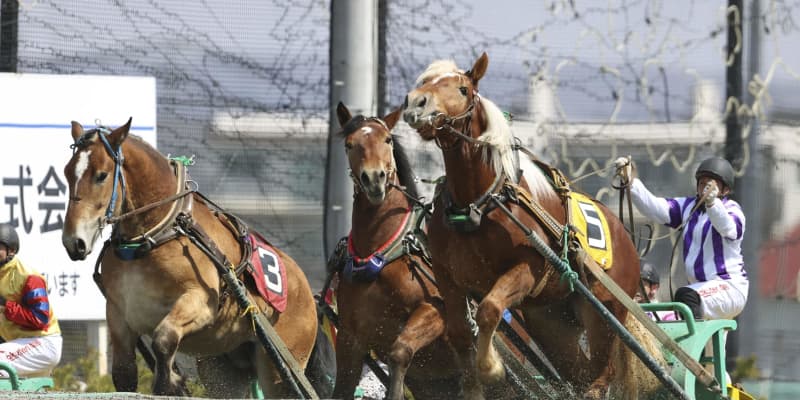 若馬が未来の名馬目指し力走　北海道、ばんえい競馬
