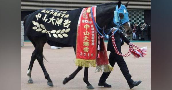 JRA【中山GJ（G1）展望】オジュウチョウサン「5連覇達成」目前!?　シングンマイケルらの「ジャイアントキリング」はあるか？