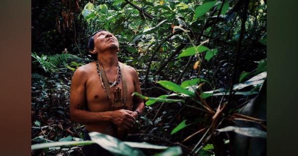 窮地のアマゾン先住民、森林伐採にコロナが拍車