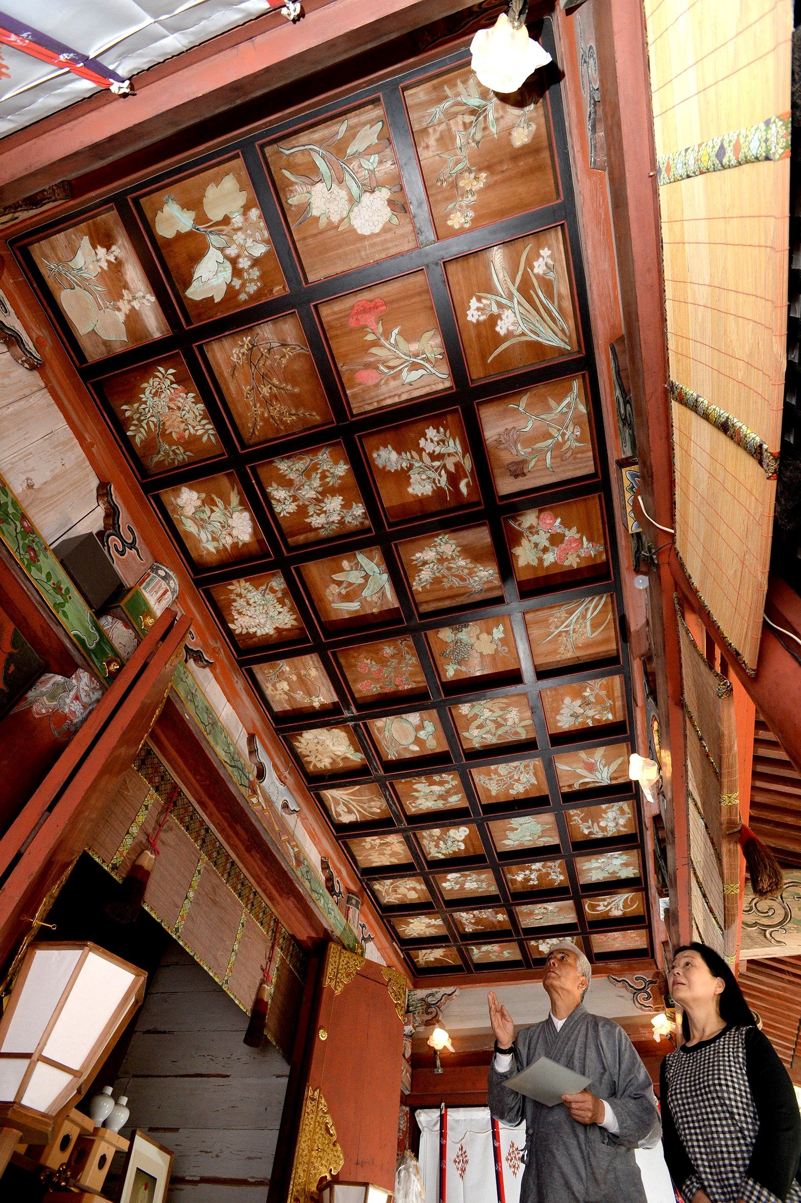 天井見上げて「花見」　梅や山桜咲き誇る「花の天井」特別公開　京都・平岡八幡宮