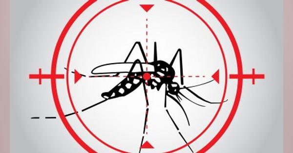 次なるパンデミックを防げ！「蚊」撲滅実験が拡大中 | 別の感染症流行でこれ以上病院に負担をかけてはならない