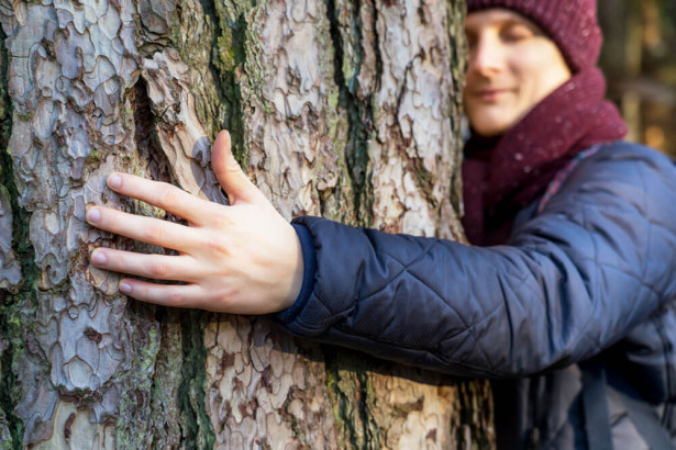人がだめなら木をハグしよう、アイスランドの森林局が提案