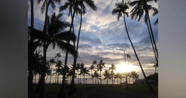 新規感染者数が減少「新型コロナ感染抑止」ハワイの成功モデル - 相馬佳 （ハワイ在住ライター） - WEDGE Infinity