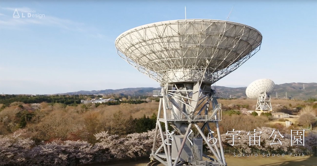 日本の絶景、さくら宇宙公園──パラボラアンテナと満開の桜 - ニュース3面鏡
