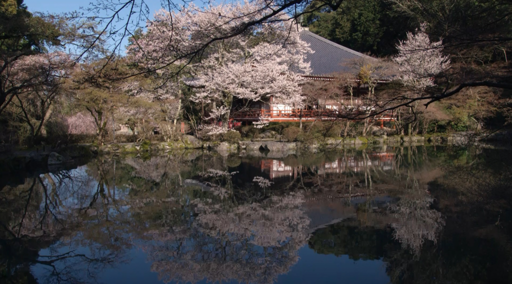 DNPとMBSが提携　京都文化遺産の映像をYouTubeで無料配信