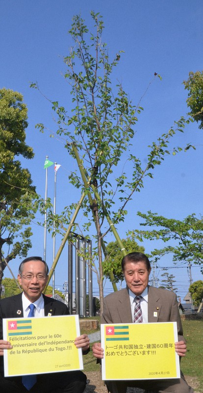 トーゴ共和国建国60周年で記念樹　東京オリ・パラホストタウンの宮崎・日向市