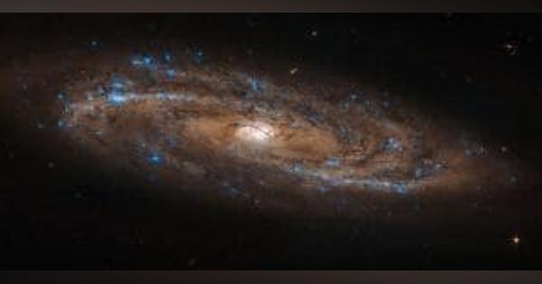 美しい青と渦の「NGC 4100」　ハッブルのACSが捉えた天体たち