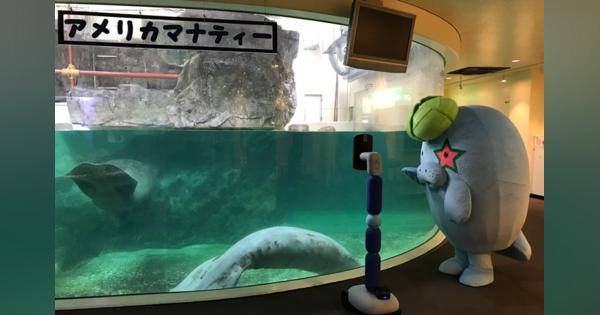 休館中の水族館を遠隔観賞　ANA系ベンチャー、香川・新屋島水族館で