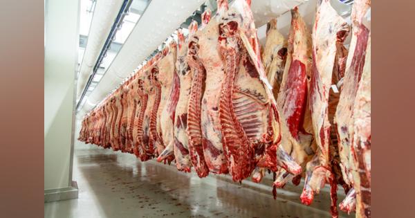 新型コロナウイルス感染にさらされる米国の食肉工場労働者 ―先進国の歪んだフードシステム