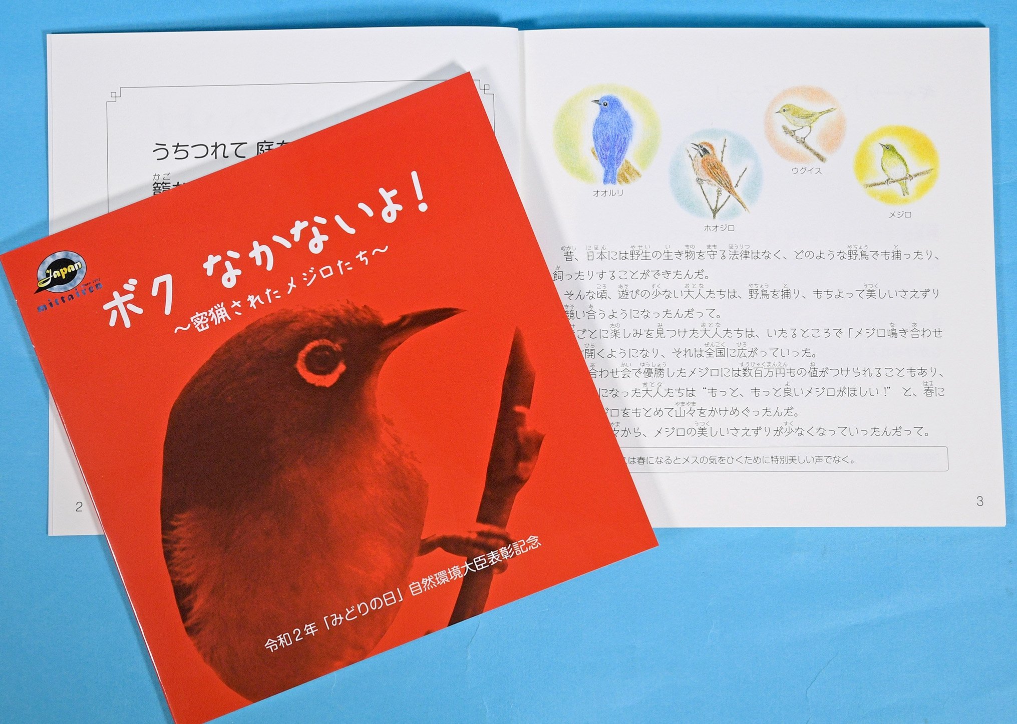 密猟メジロ、違法飼育の実態は　愛鳥週間へ「鳥目線」の啓発絵本