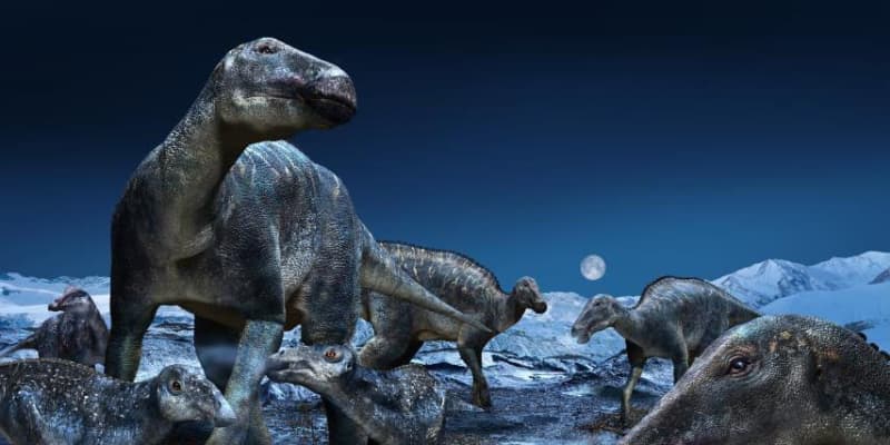 違う属の恐竜、実は同一　北極圏からアジア進出か