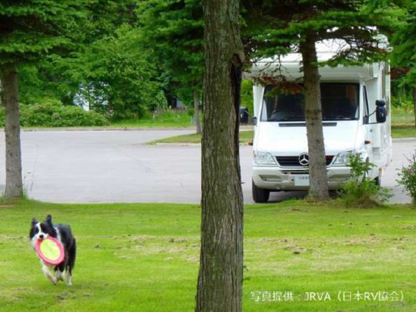 8割以上が「キャンプはいつもペットと一緒」…日本RV協会調べ