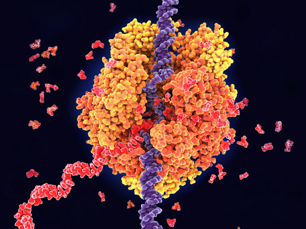 新型コロナ用ワクチンの早期開発に欠かせない伝令RNAの生成技術を持つGreenLight Biosciensesとは