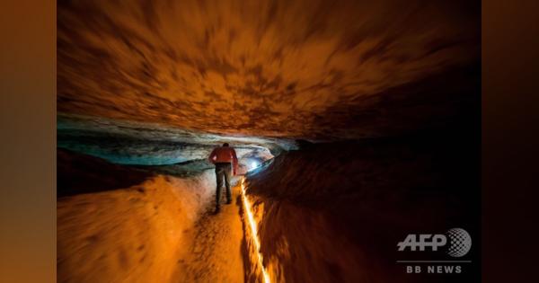 ブルガリア洞窟の骨と歯、欧州最古の現生人類と判明