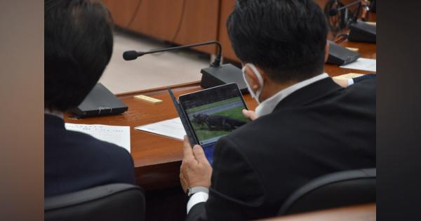 検察庁法改正案審議中にワニの動画閲覧　自民・平井前科技担当相「たまたま出た」