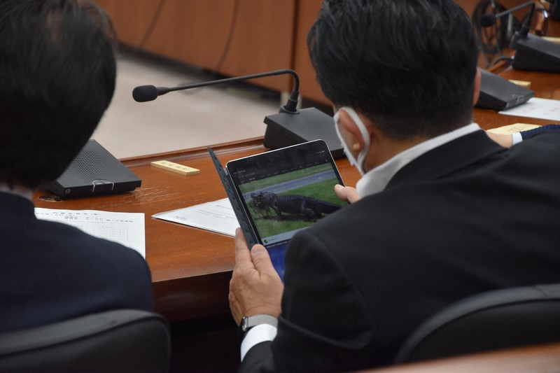 検察庁法改正案審議中にワニの動画閲覧　自民・平井前科技担当相「たまたま出た」