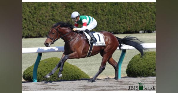 JRA “国内無敗”クリソベリルが帝王賞（G1）で復帰！ オメガパフュームらを相手に「無敗街道」を突き進めるか