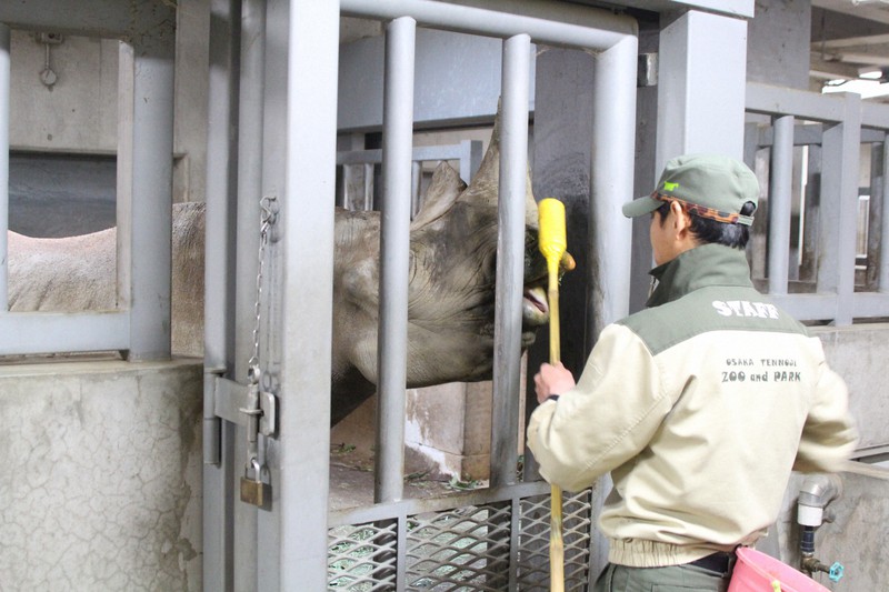 大阪・天王寺動物園、6月2日から一部再開