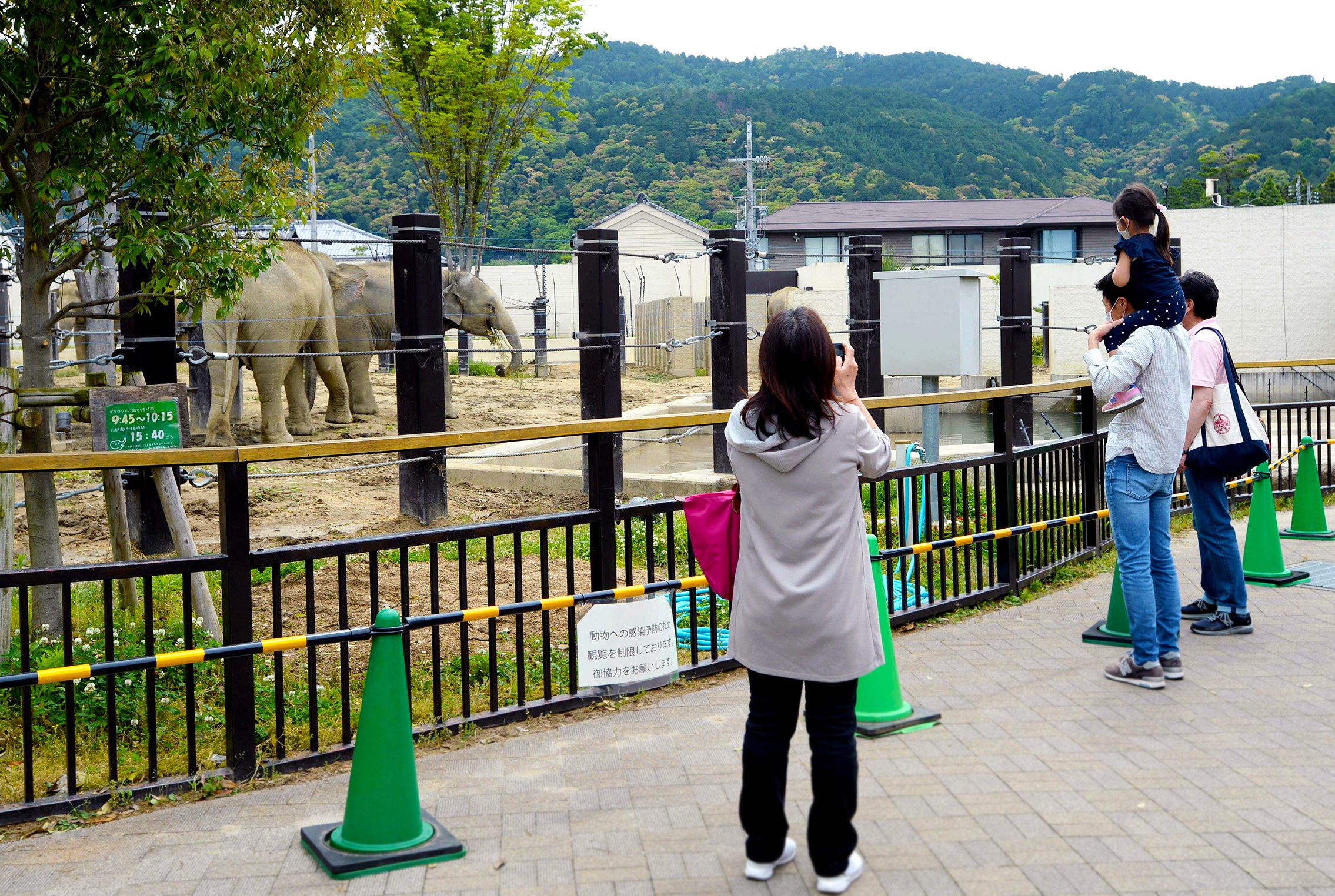 感染防止へ動物と距離、でも「うれしい」　動植物園に久々歓声、営業再開広がる