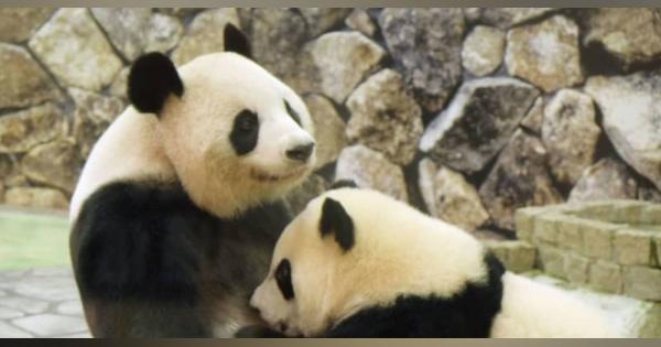 和歌山県、四川省と交流覚書　「パンダが結んだ友好」