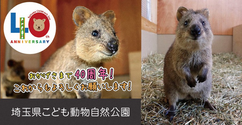 第3回・埼玉県こども動物自然公園「休館中に迎えた40周年と世界一幸福な動物」