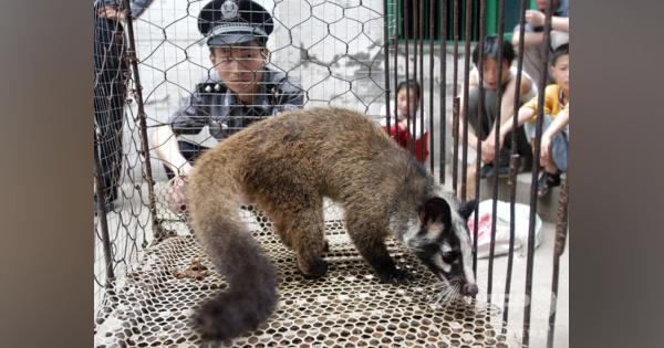 中国当局、珍しい繁殖用動物を農家から買い上げ 野生動物の取引阻止へ