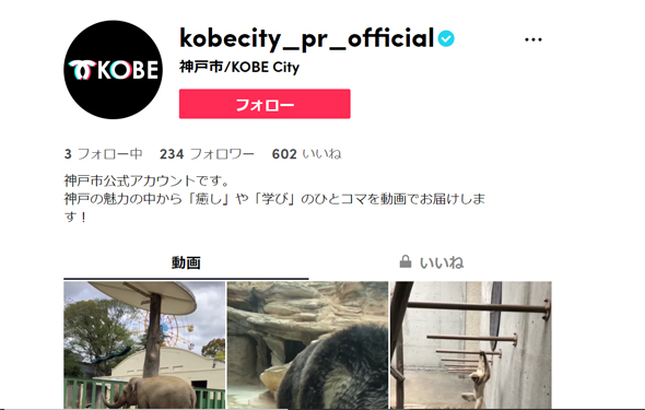 「まだフォロワーは186人、頑張ります」　神戸市がTikTokと連携　コロナ対策や若者への働きかけ目指す